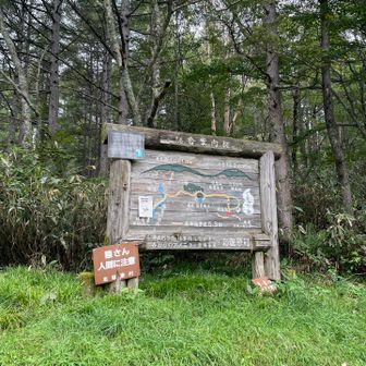 登山口。準備してる最中にでっかい💩に気づかず踏んで撃沈。あまり臭くない黄色いブツ…熊だろうか…