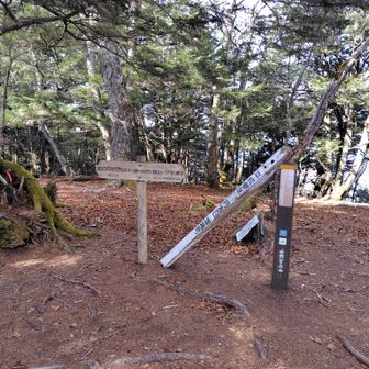 小屋から櫛形山までは50分ほどで到達。