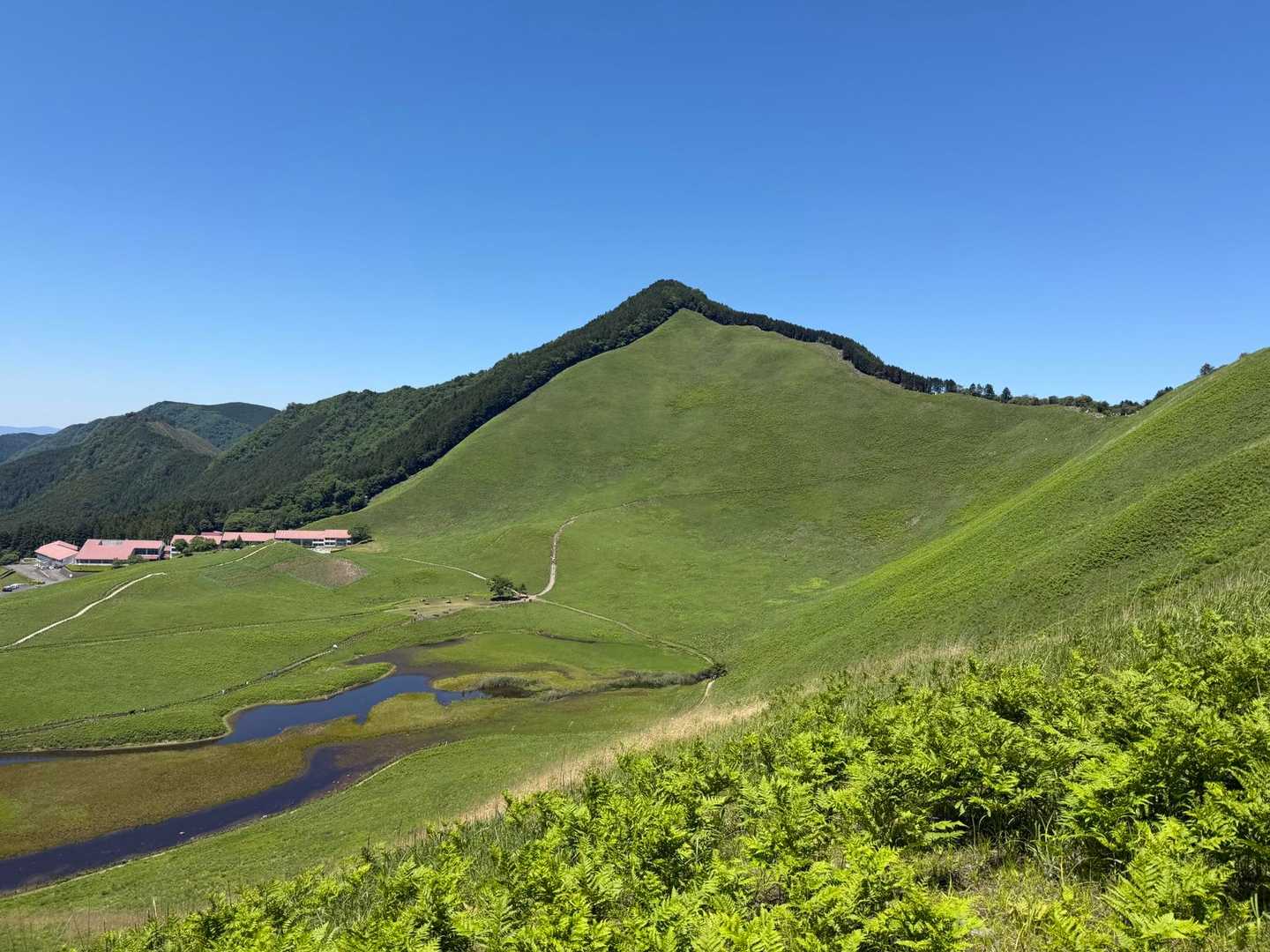 曽爾高原。
新緑が綺麗ですね。