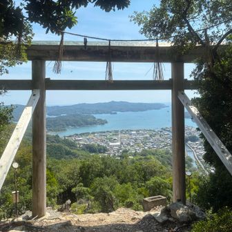 山頂からの景色