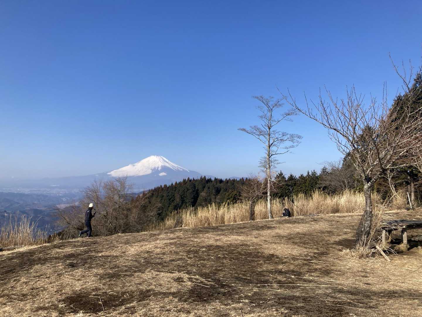 いいね🗻👍
