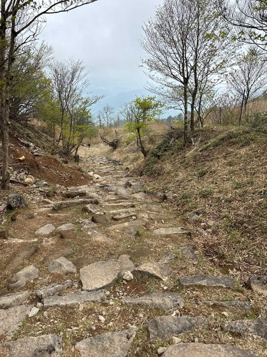 下りは階段の表参道コースで帰ります