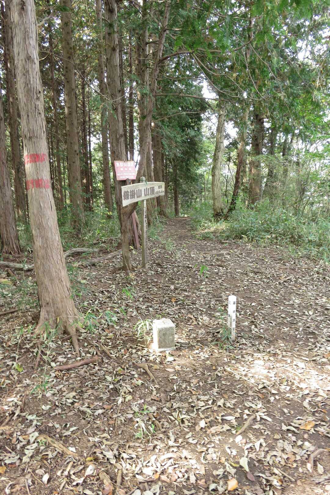 鞍掛山の写真