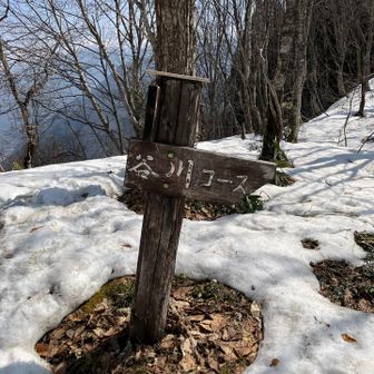 帰りは谷川ルートで下りました🏔️
