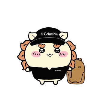 かいと