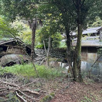 熊より廃墟が怖い😱
