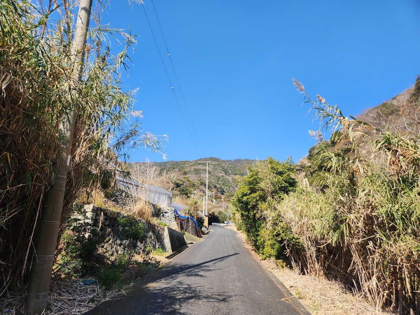 登山口まではロード
青空気持ちいいね️🩵