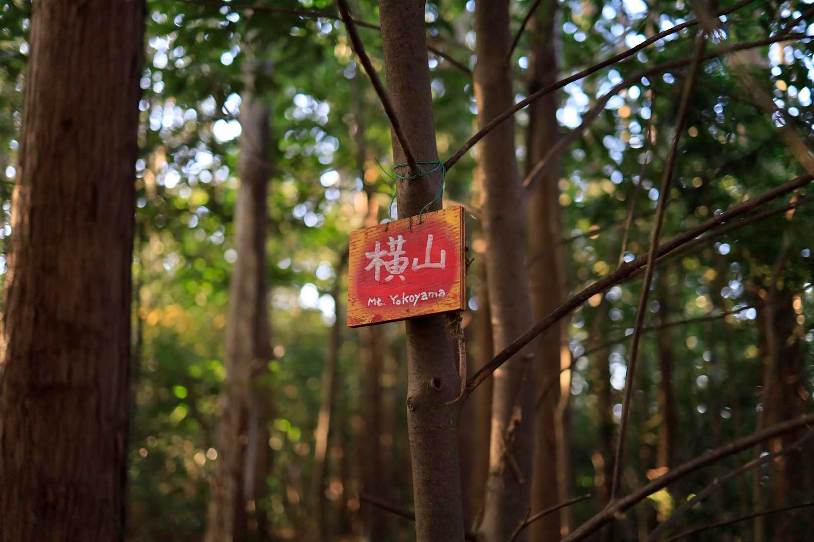 神社裏手左側にちょっと入ったら
横山