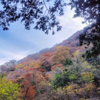 てことで、毎度おなじみ不完全燃焼🔥ですが、今はこれで良しとしよう。

またリベンジしないとあかんな。旅すると必ず宿題が増える。