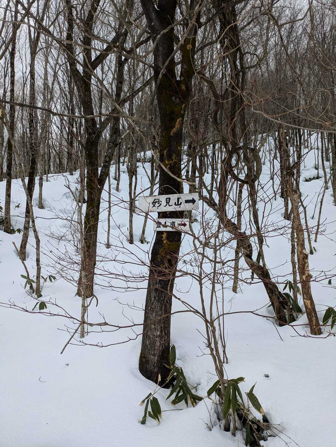 降りてきた

いつもの登山口😁