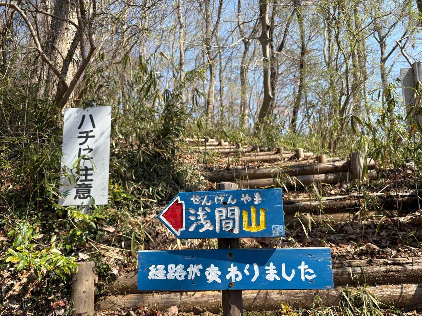経路が変わり、森林コースが開拓されてた