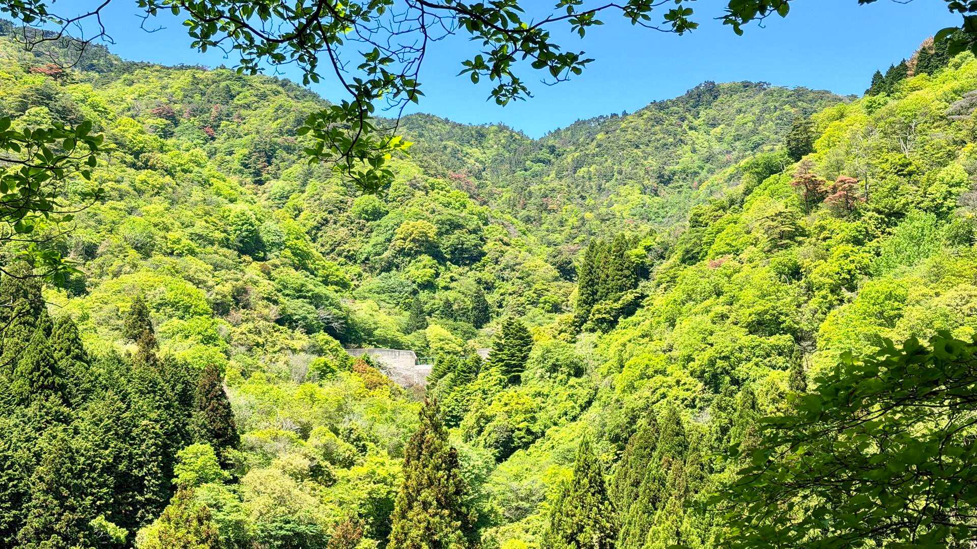 雨ヶ峠を越え、見上げると本庄堰堤のスリットが見えます。