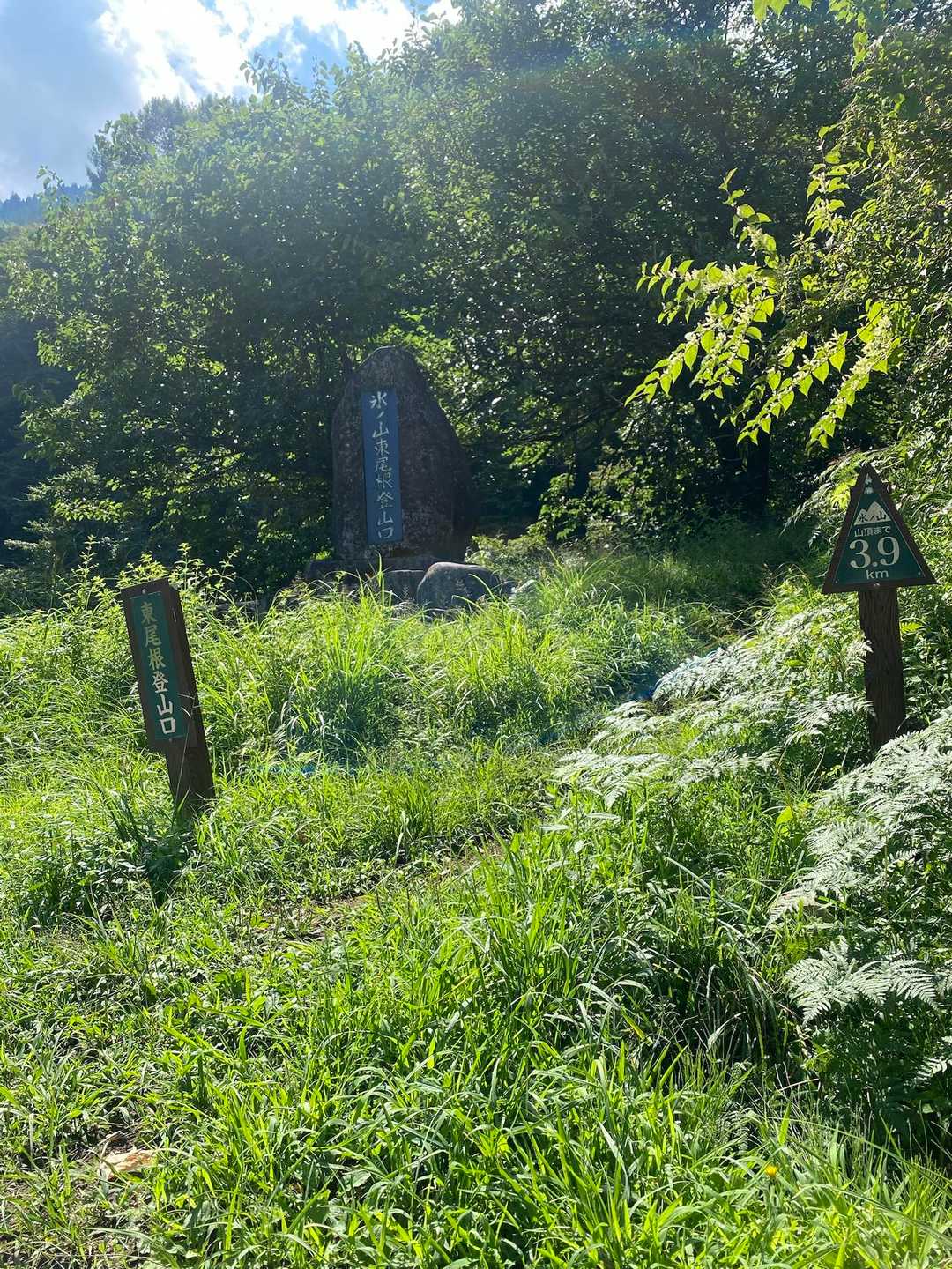 ここから登りまーす♪