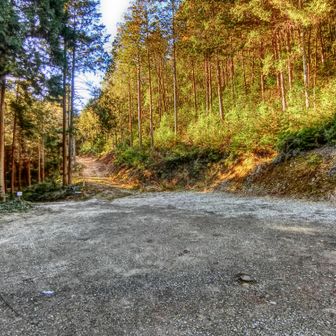 もう誰も居ませんでした。
お疲れ様でした！