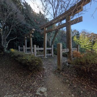 二ツ鳥居。
1649年建立&横に並んだ鳥居で珍しかったこともあり、暫く見入ってました😳