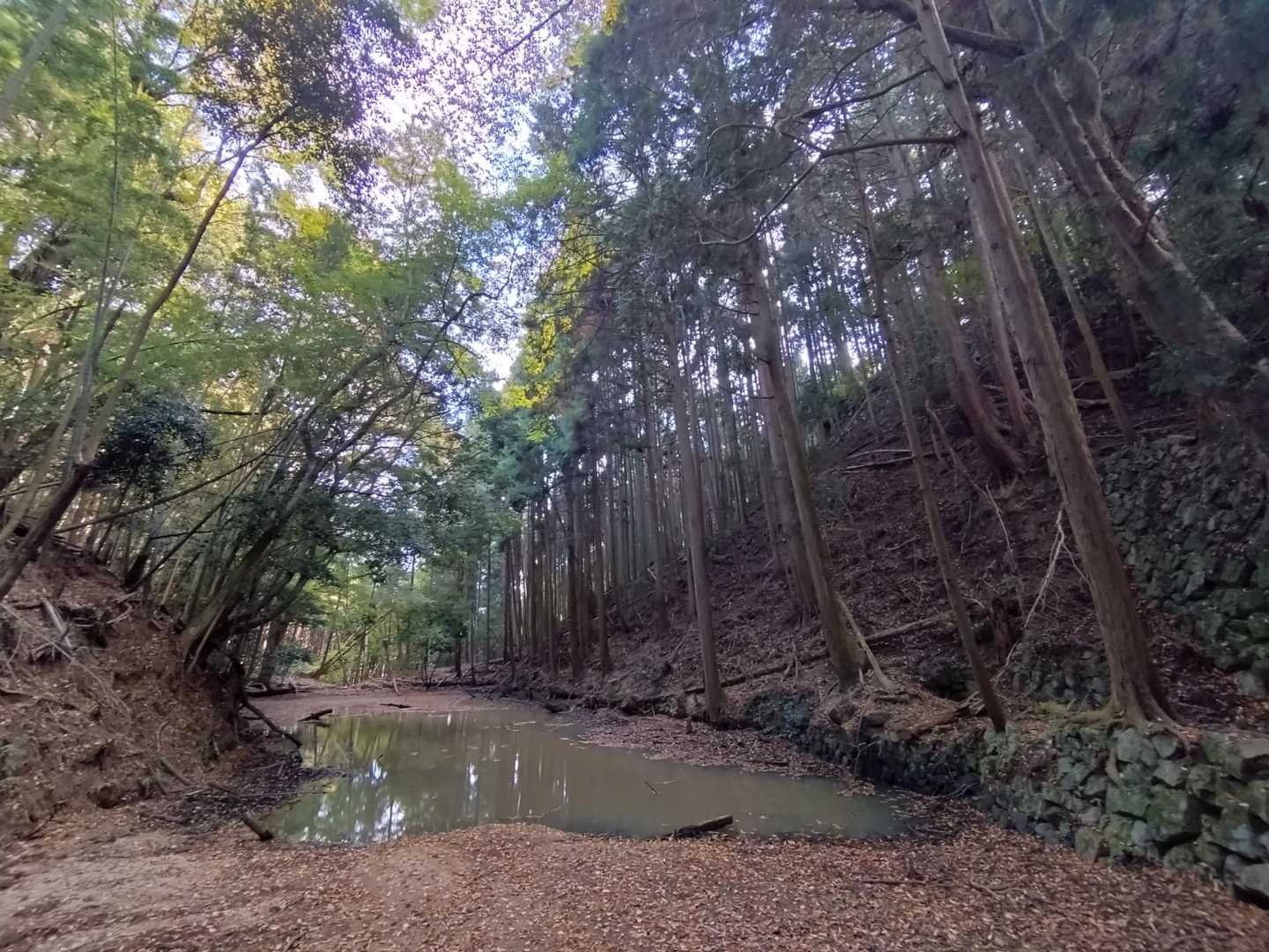 壺阪山駅-高取山-高取城跡入口-高取城登山道入口-壷阪寺前 周回コースの写真