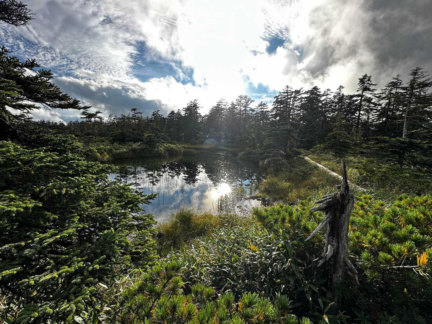 クチャンベツ沼ノ原登山口-五色岳-化雲岳 往復コースの写真