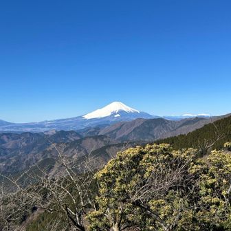 と思いきや早速こんな景色に！！！