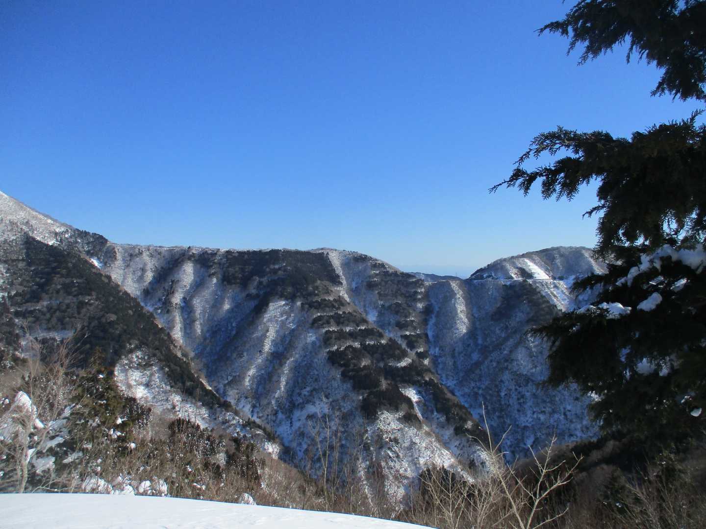 弥高山から川戸谷林道上部の稜線