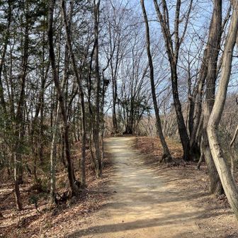 こんな感じで歩きやすい
ワンコと一緒でも安心して歩ける🐶