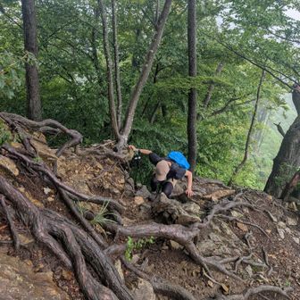 急登もがんばりました👏💮
下山中にトレランの男性と整備作業の男性お二方のみのスライド
静かな山行だったね