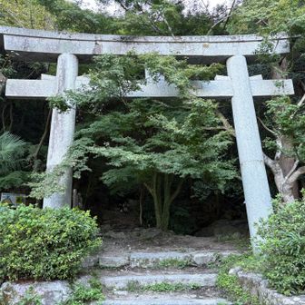 今年中に実現が目標。
さぁ帰ってベビにハグさせて頂こう。