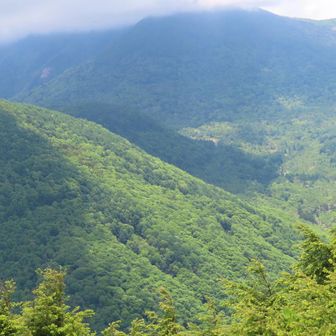 桟敷山の後ろに村上山も