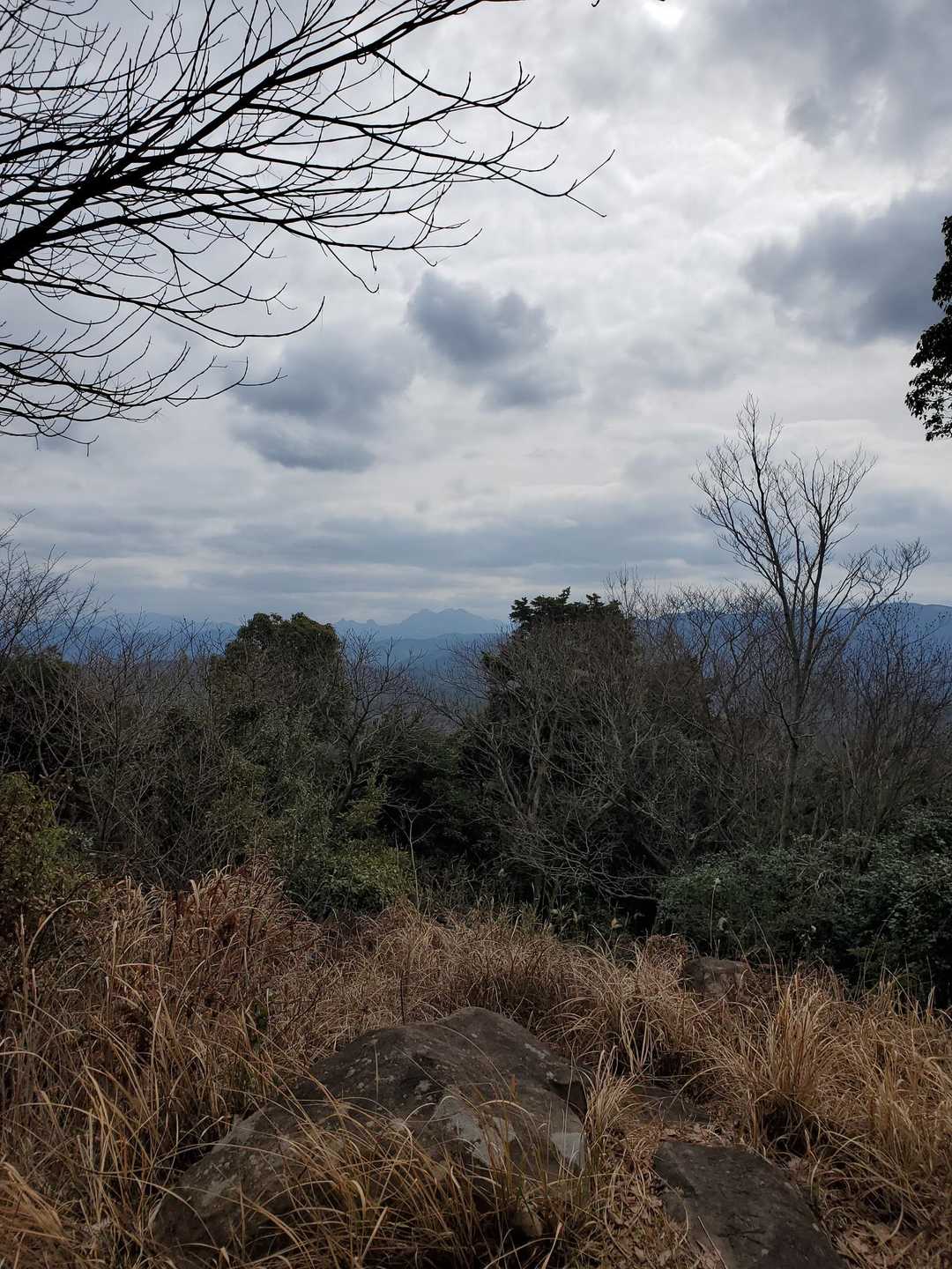 写真じゃわかりにくいが、鷹ノ巣山の3座がよく見えてた。
独特の山容、引き込まれた。