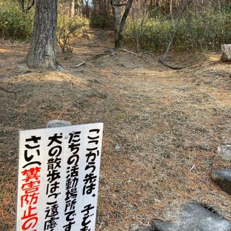 🐶散歩ダメ 喫煙ダメ ここで遊んでダメ
ドロンもダメ
あちこちにダメダメ看板があって
ちょっとやりすぎ感
(少年自然の家と共用しているためらしいです)