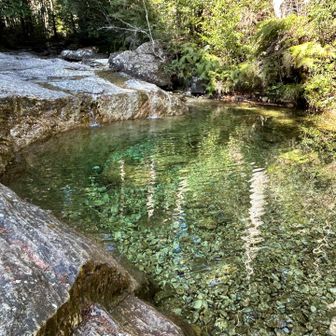 川は相変わらずの綺麗さ🤩