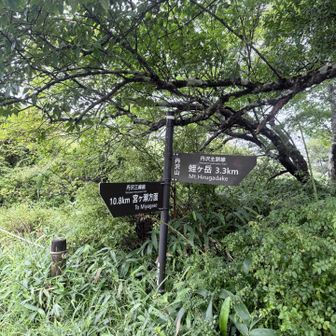すぐに蛭ヶ岳行くよ！