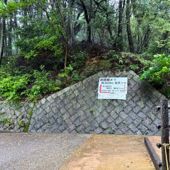 徒歩8分
広い道と
山道
山道に、ピークありそうだから
ザーザー降りに負けず
山道へ