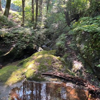 さっそく寄り道