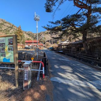 昔は宿場だったのだろう旧中道往還を行く、精進の大杉を見て登山口へ