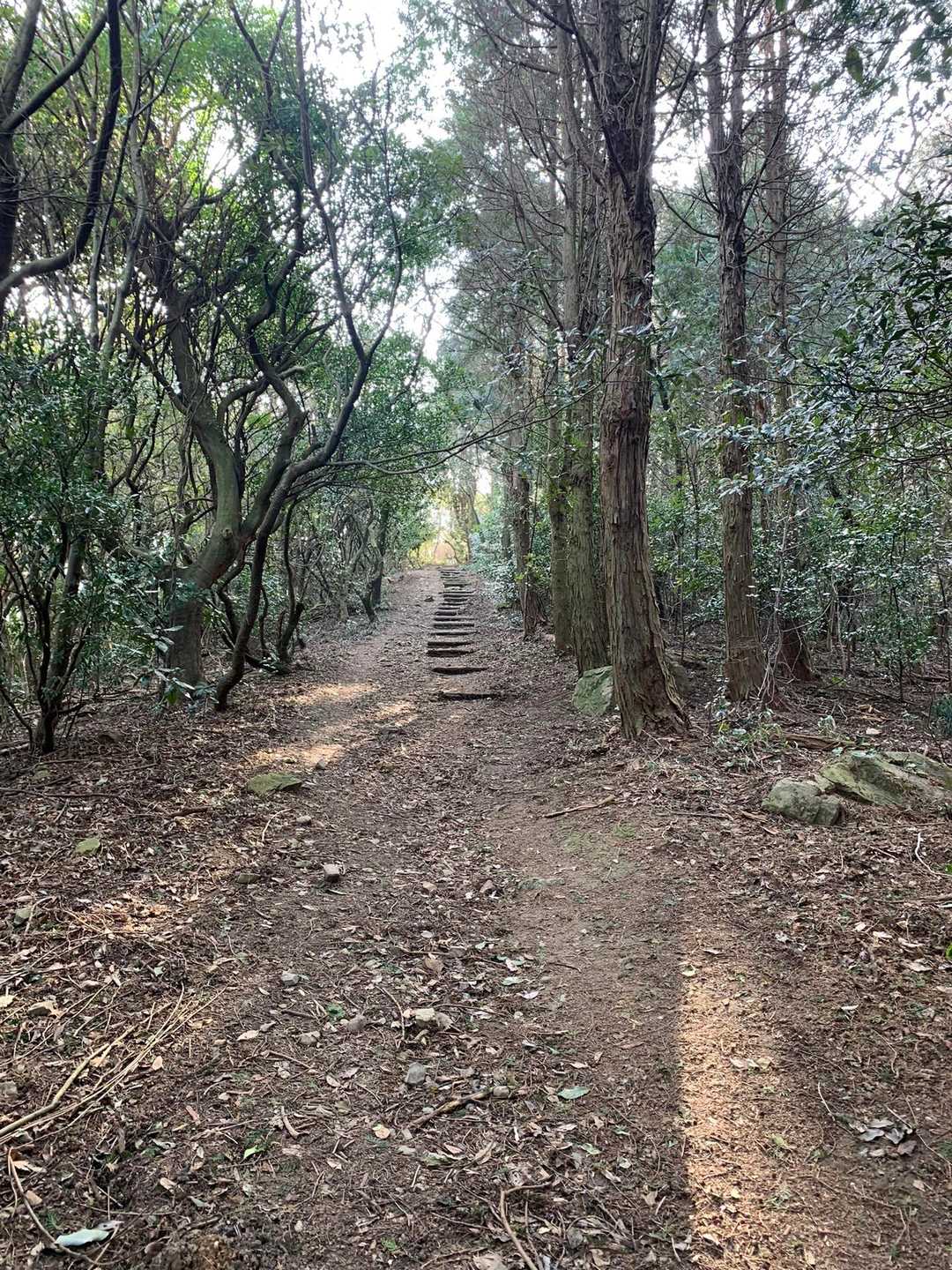 風頭-風師山登山口 縦走コースの写真