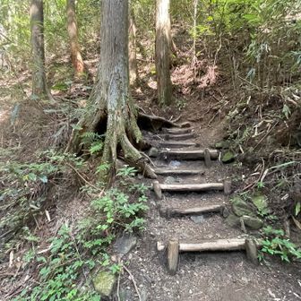 こちらは、文殊中尾根の取り次ぎです⛰️
下山はこちらから🫡