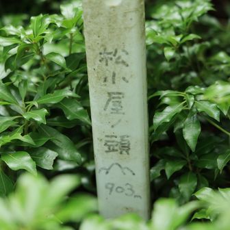 見つけた‼️
こりゃわからない😅

この後正規ルートを見失って
いつの間にかヤバい斜面を必死に彷徨い
やっとの事で復帰しました
マジ転落するかと思った😱
写真撮る余裕ゼロ💦
まさに死に物狂いで急斜面をよじ登りセーフ
かなりタイムロスしたけど
落ちないで良かった…😅