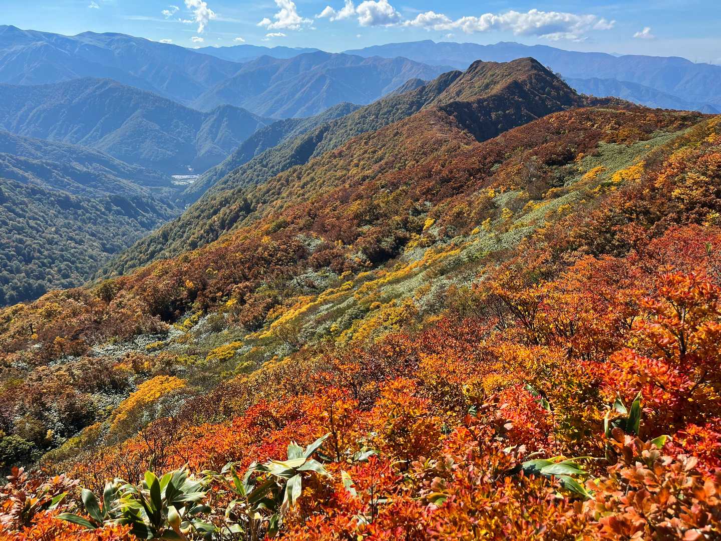 この辺りの紅葉も綺麗。