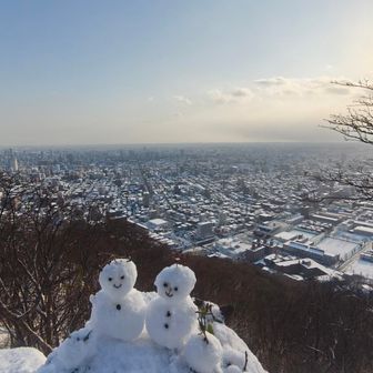 どなたかが作った雪だるま
かわいいですね☃ 