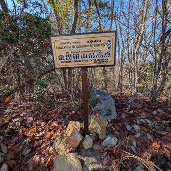 金毘羅山の標識はもう一箇所標高違いでありました。