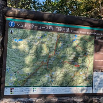 今回はこちらのシュナイダーコースからニペ迄往復コース。