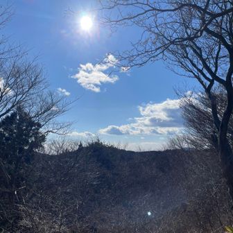 奥久慈男体山と富士山は見えず