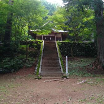 神々しいですね