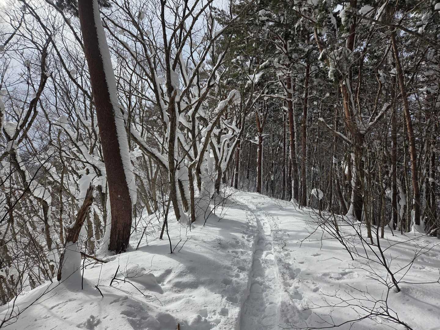 来た道を下山