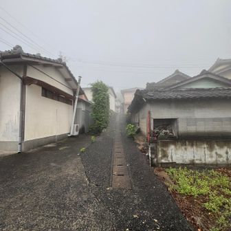 初めは民家を縫って歩きます