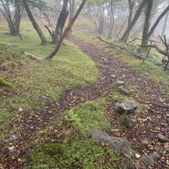 さてまずは大岳を目指す！