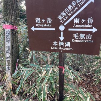端足峠　一息入れる😮‍💨。本栖湖へ降りる予定を、お風呂入る時間厳しそうだったので根原バス停へ降りるルートに変更。※本栖湖周辺の日帰り温泉「本栖フェニックスHOTEL」は18:00まで