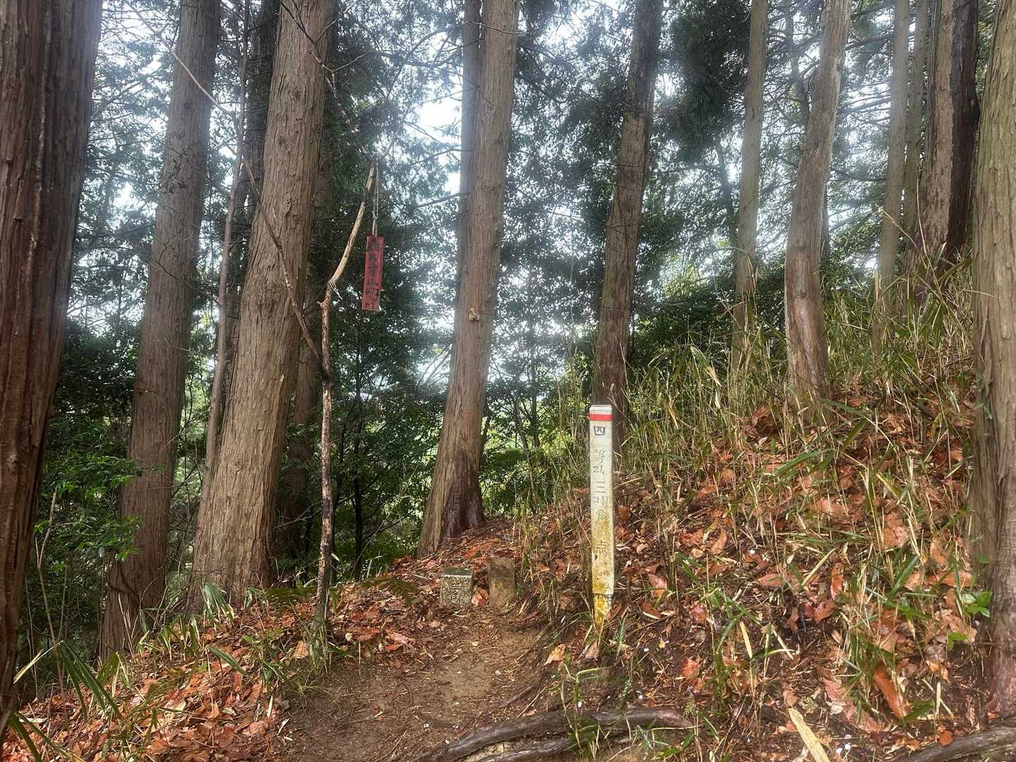 本日2座目､､､万才山（472m）⛰️
ほとんどの人がスルーしていく山頂､､､😅