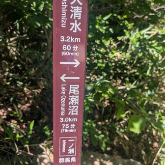 山道を下りると、舗装路に出ました。一ノ瀬は近そうです。