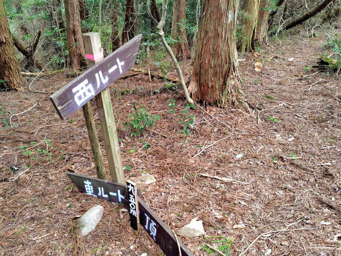 下山時は西ルートへ